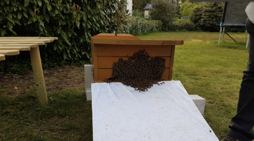 Bildschirmfoto 2019-05-19 um 18.46.09.png